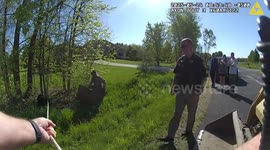 Escaped pig recaptured using lasso and bulldozer in Wisconsin