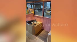 Couple buy £25k American school bus on eBay to travel Europe with toddlers