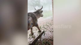 Severe hailstorm batters Texas, causing damage and flooding