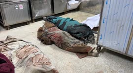 Multiple Palestinians killed in Israeli airstrike on northern Gaza Strip