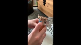 Ice Cream Cone Got Double Wrapped