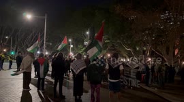 Palestine protesters ‘March on Vivid’, Sydney, Australia