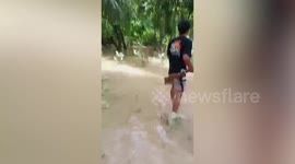 Pregnant woman, 28, killed by crocodile while cooking lunch