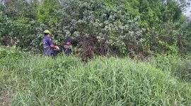 Police probe skull believed to be 'murdered sex worker' in Thailand