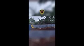 Springfield, Missouri Officers Rescue Fawn From Empty Backyard Pool
