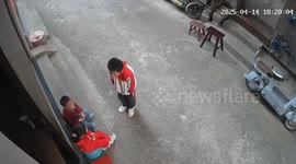 Sister saves younger brother from suspected kidnapper in China