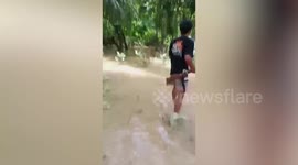 Pregnant woman, 28, killed by crocodile while cooking lunch