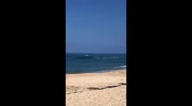 Surfer tumbles off board after big wave in Oahu, Hawaii, USA