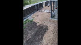 Woman saves child from falling gate in Minsk, Belarus