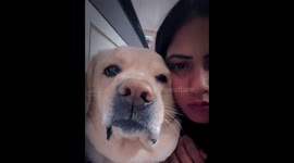 Dog shows teeth on command in funny video from New Delhi, India