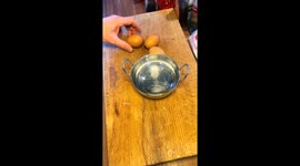 Rotten egg reveals green fluid in Newport, Ireland