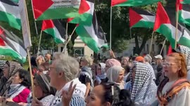 Germany: Pro-Palestinian protest held in Germany's capital Berlin