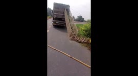 Thousands of Ducks Burst Out of a Truck and Swarm the Fields