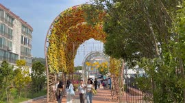 Take a walk around the popular Blue Line Park in Busan