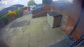 Primary school kids banned from going outside - because of dive-bombing buzzard