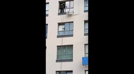 Cat rescued from fourth-floor window in New Moscow, Russia
