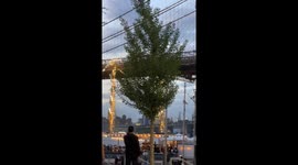Cuauhtemoc Ship Collides Into Brooklyn Bridge