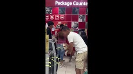 Owner holds puppy in front of air conditioner to cool off