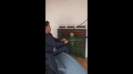 Good samaritan rescues cat trapped between window and screen during flood