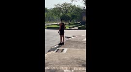 Monitor lizard holds up pedestrians to cross road