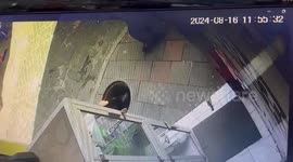 Woman falls into manhole while using phone in Guaranda, Ecuador