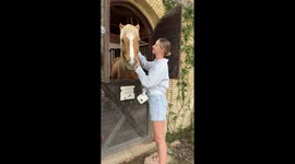 Woman startled after horse bites her arm in Bali, Indonesia