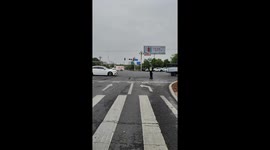 Traffic officer playfully guides curious crow in Hunan, China