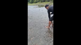 Young crocodile chases children after release in Chiriquí, Panama