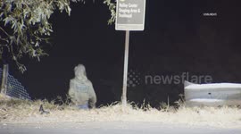 US, Los Angeles: San Dimas Vehicle Crashes Over The Side Fatal