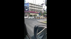 Dog waits for cars to stop before using pedestrian lane in Krong Kampong Cham, Cambodia