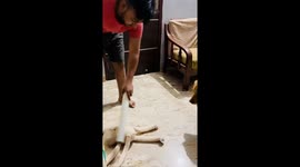 Man teaches dog a lesson using a doll in Ghaziabad, Uttar Pradesh, India