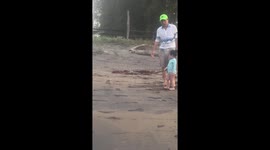 Little girl interacts with crab in Vega de Alatorre, Veracruz, Mexico
