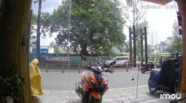 Tree uprooted by strong wind falls on motorcyclist in Vietnam