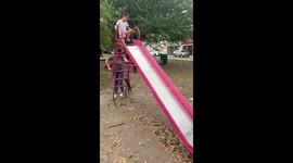 Dog joins family on slide in Guadalupe, Nuevo León, Mexico