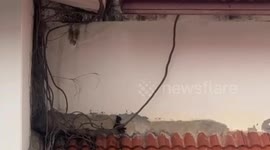 Students cheer as rescue team saves stranded kitten stuck on school roof for four days