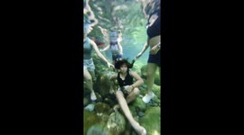 Underwater video goes wrong when woman panics