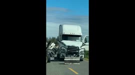 Millions of bees escape when truck cargo topples over
