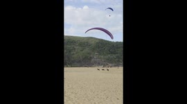 Dogs Nip At Paraglider's Heels