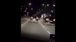 Stray Cat Who Tumbles Onto Chiswick Flyover From Underneath Car Is Rescued