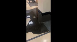 Black Water Leaks From Drinking Fountain