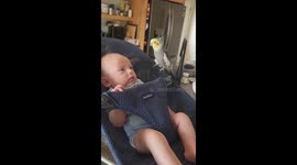 Grimace the singing bird rocks and sings to baby with joy