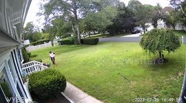 Getting attacks my bees