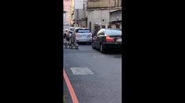Ducks block traffic as they walk along road in Taiwan