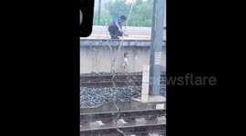 Hero railway worker rescues toddler who fell onto high-speed train tracks in China