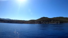 Türkiye: Invasive species documented in underwater dives off Türkiye’s Kas coast