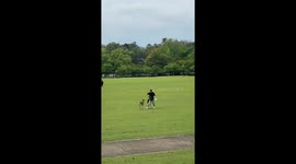 Parkgoer slips while running away from wild deer