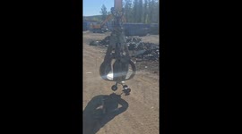 Children's Bicycle in a Landfill