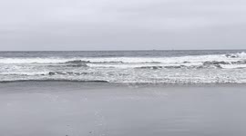Cloudy Morning Waves at Ocean Beach | San Francisco Shoreline Calm