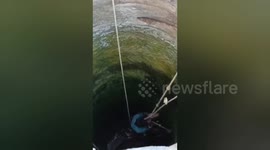 Social organisation rescued a cow fell into a well in Shahdol, Madhya Pradesh