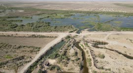 Iraq: Mass fish die-off in Iraq’s Najaf linked to oxygen depletion